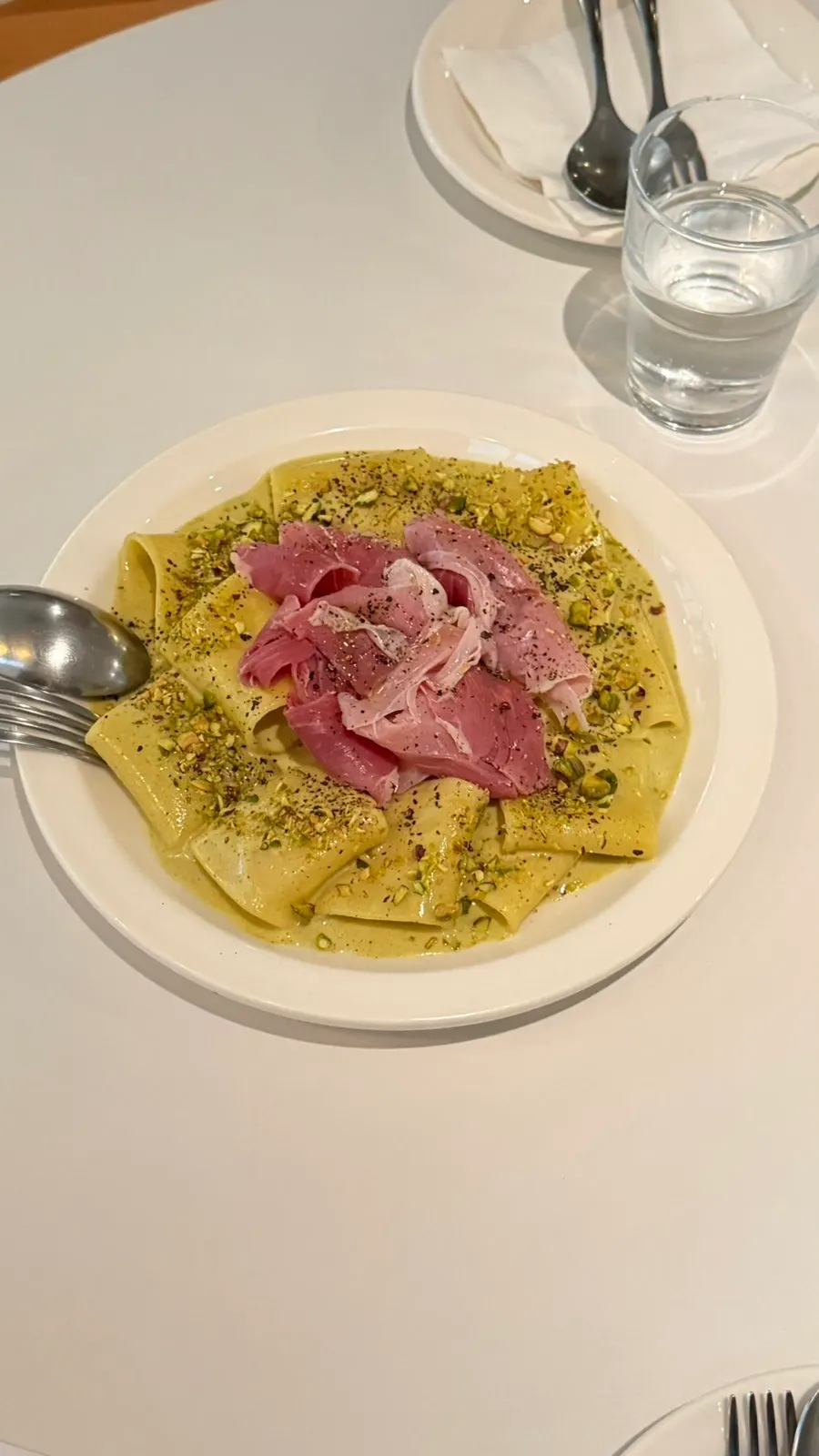 Close-up of the pasta noodles and sauce