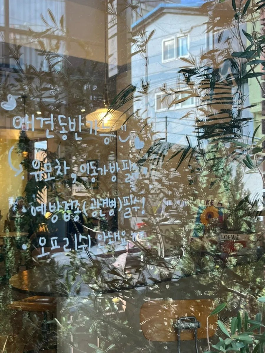 힙피 테이블 위 커피와 크림디저트