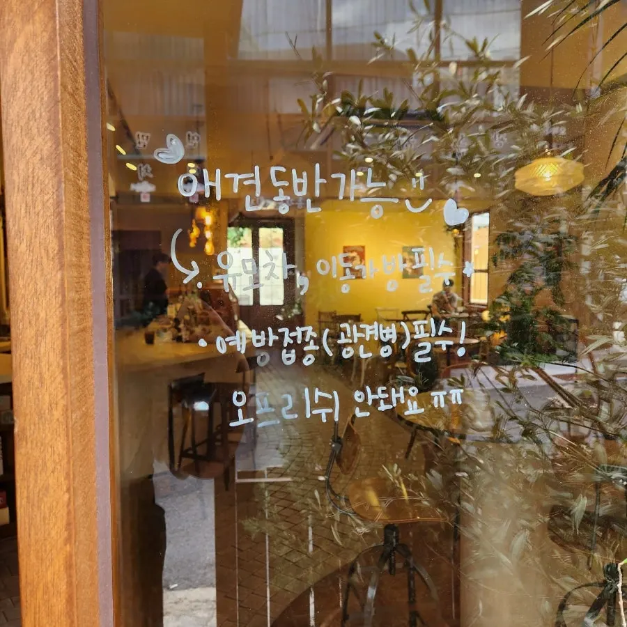 초록 화분으로 꾸민 힙피 외부 전경