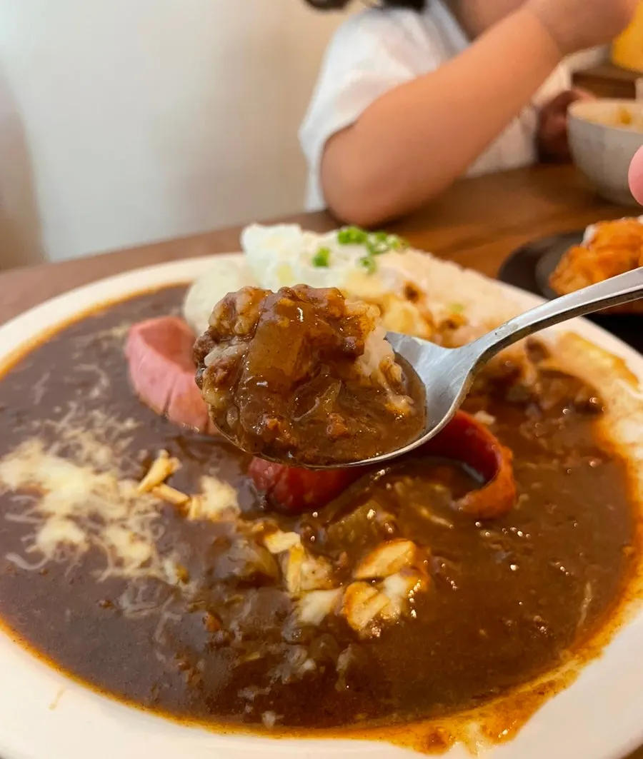Plate of special curry with melted cheese