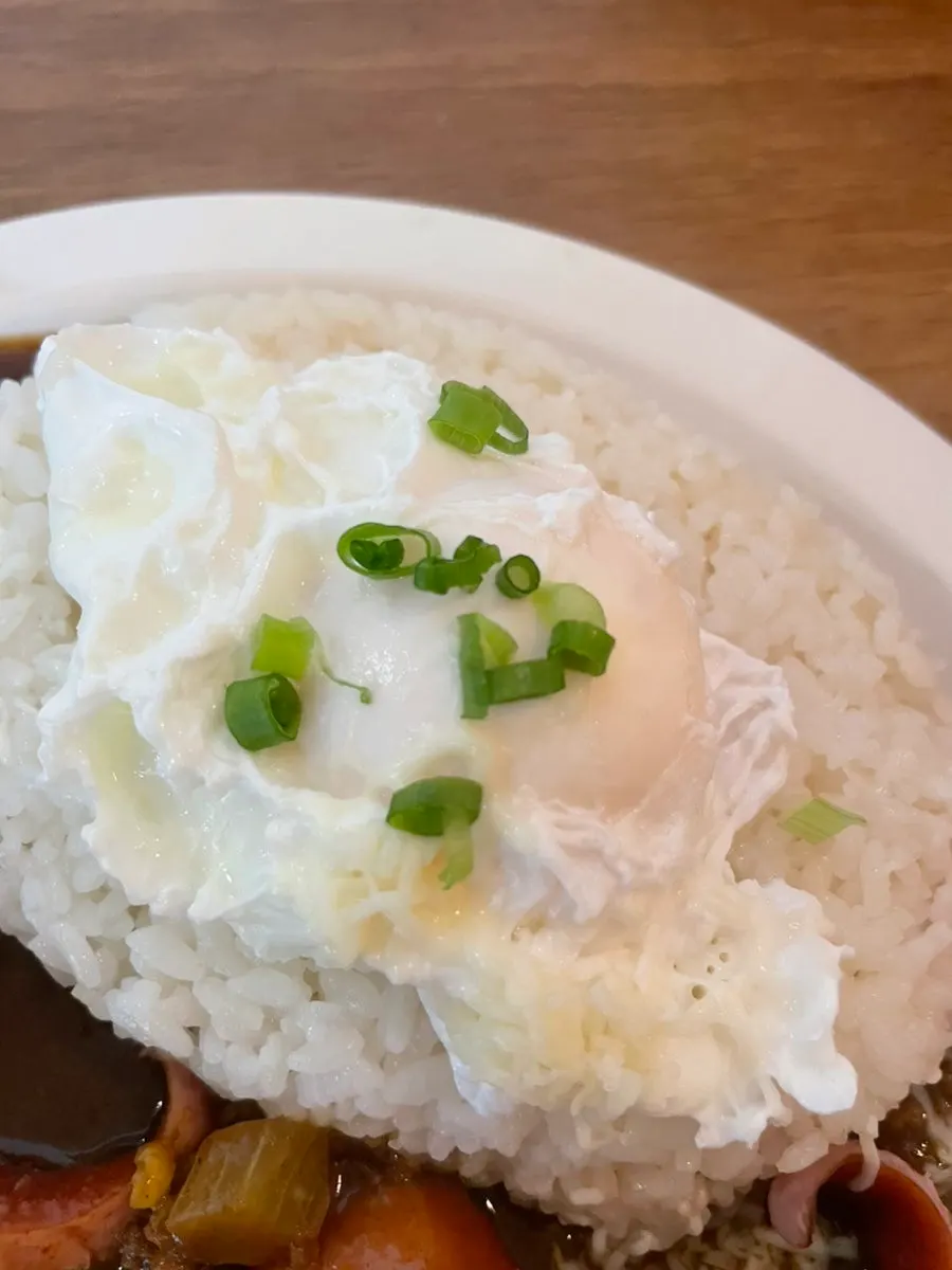 Curry and cheese mixed into rice