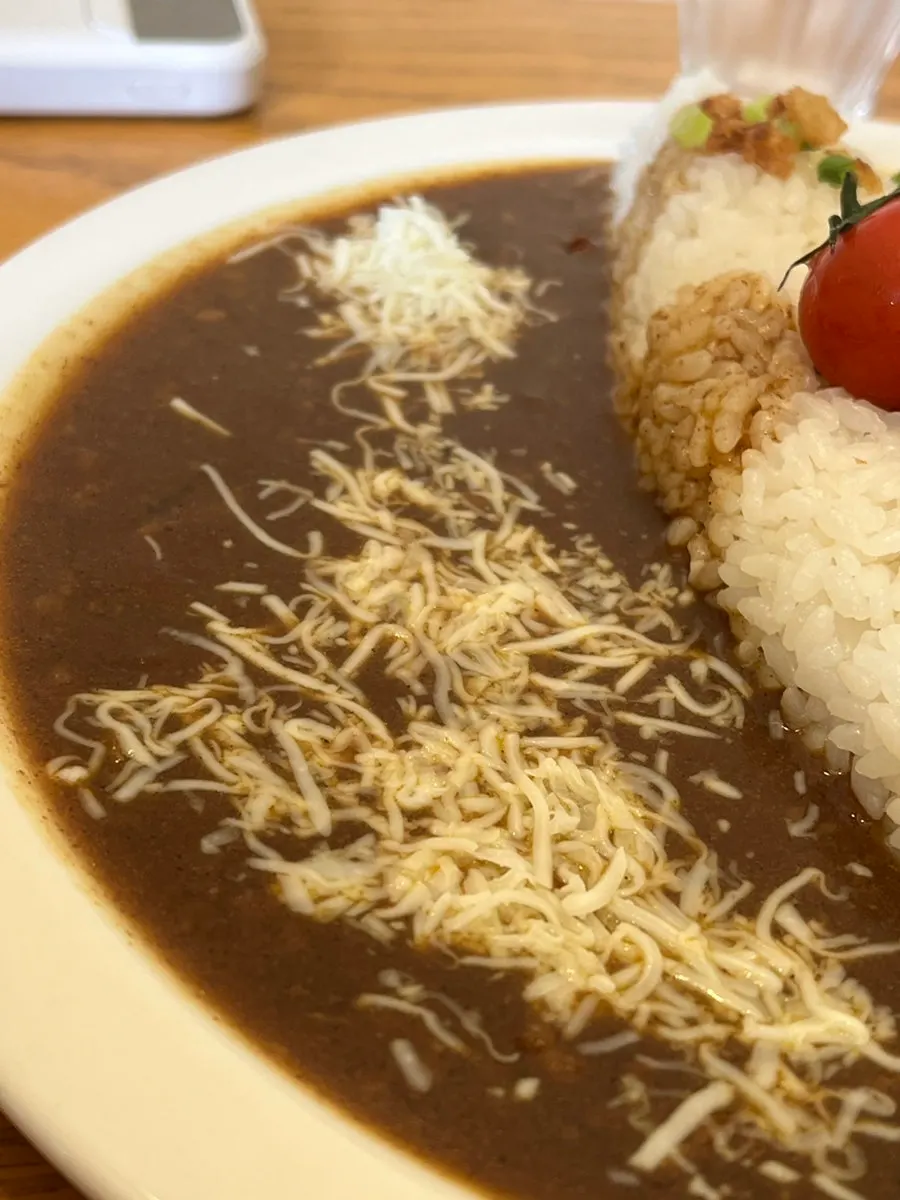Close-up of the half-and-half curry toppings