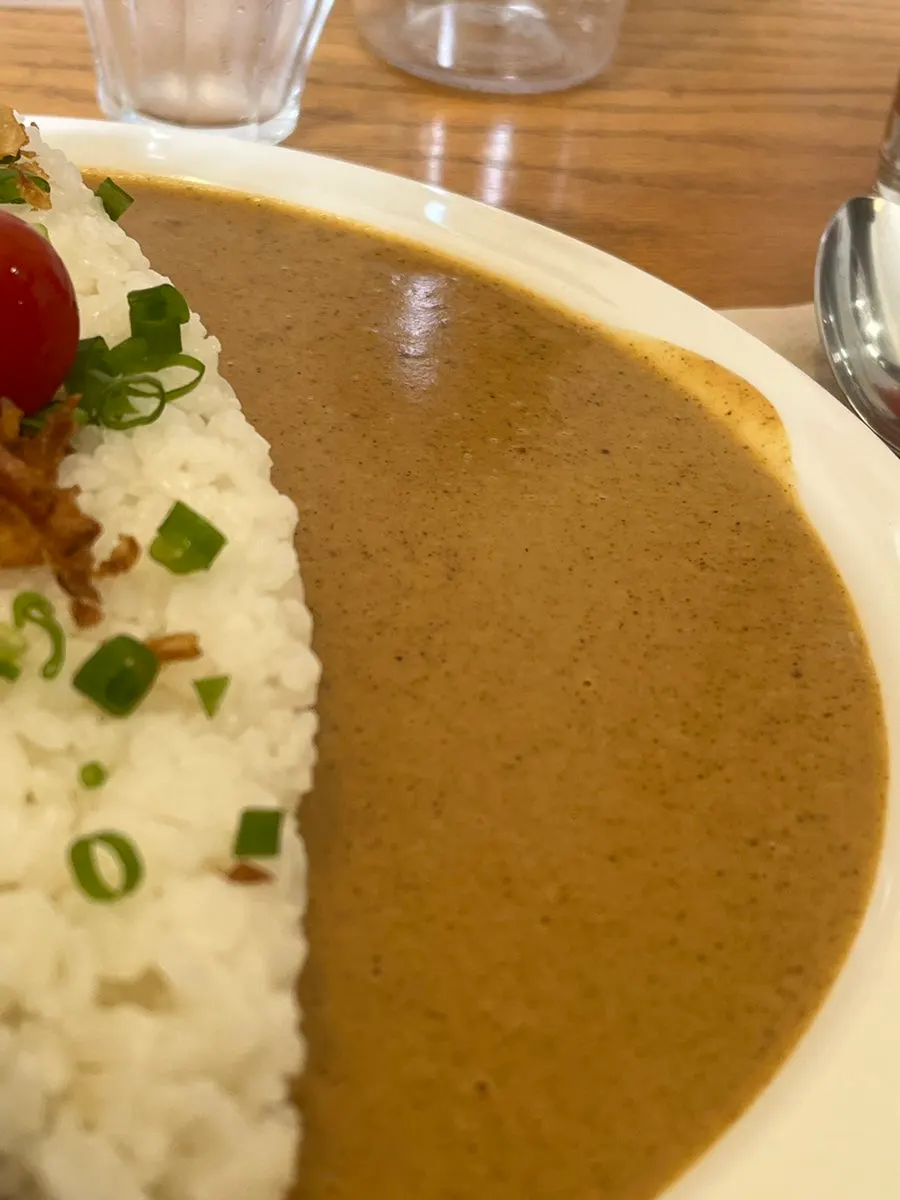 Special curry mixed with rice