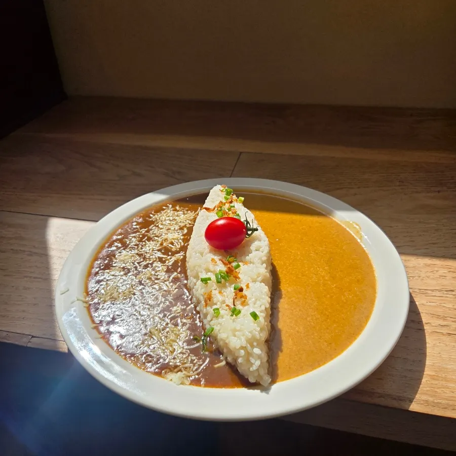 Half-and-half curry and special curry on a sunlit table