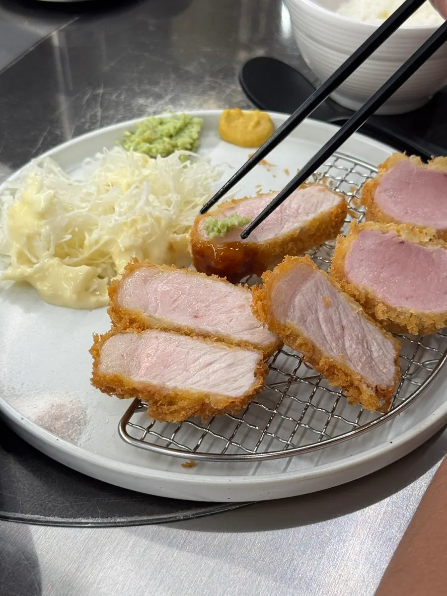 YBD pork guide and tonkatsu
