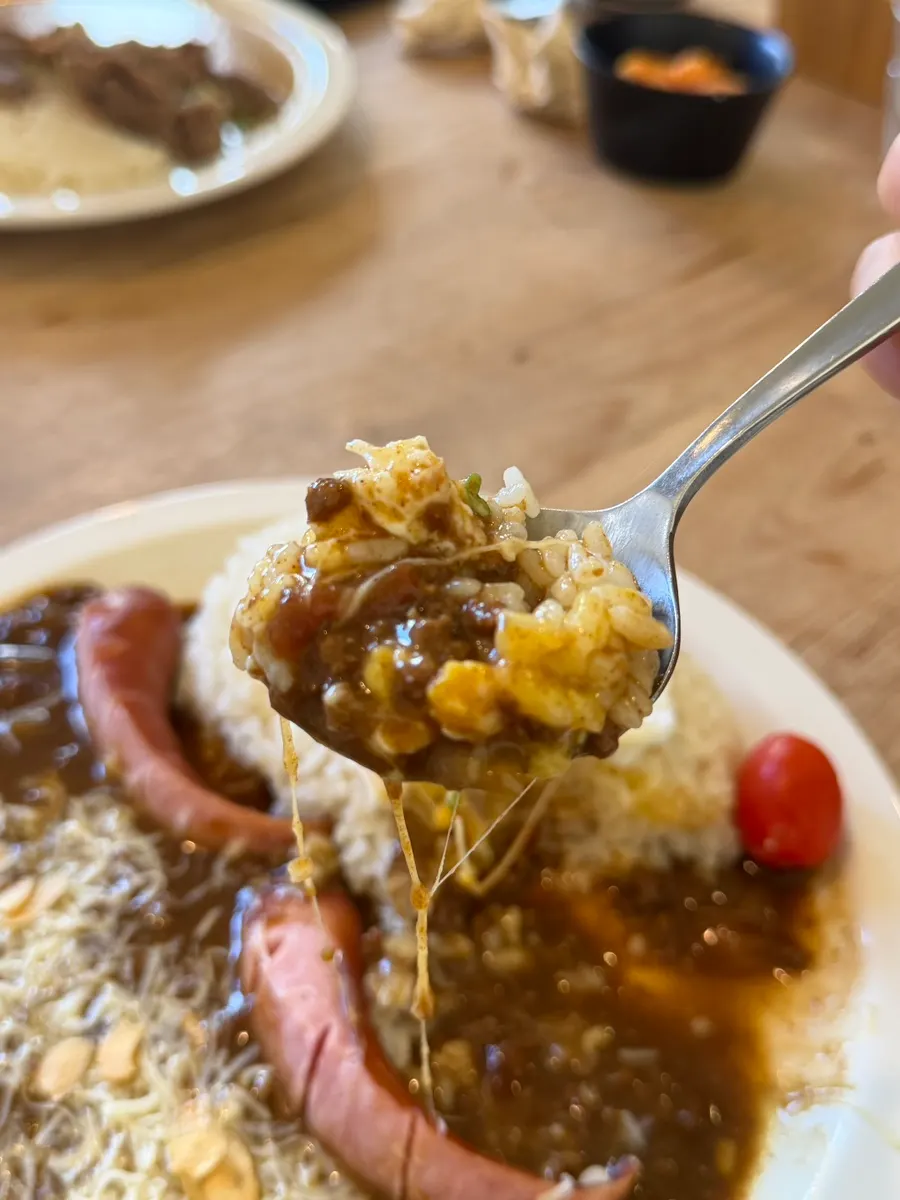 Scooping up beef special curry with rice