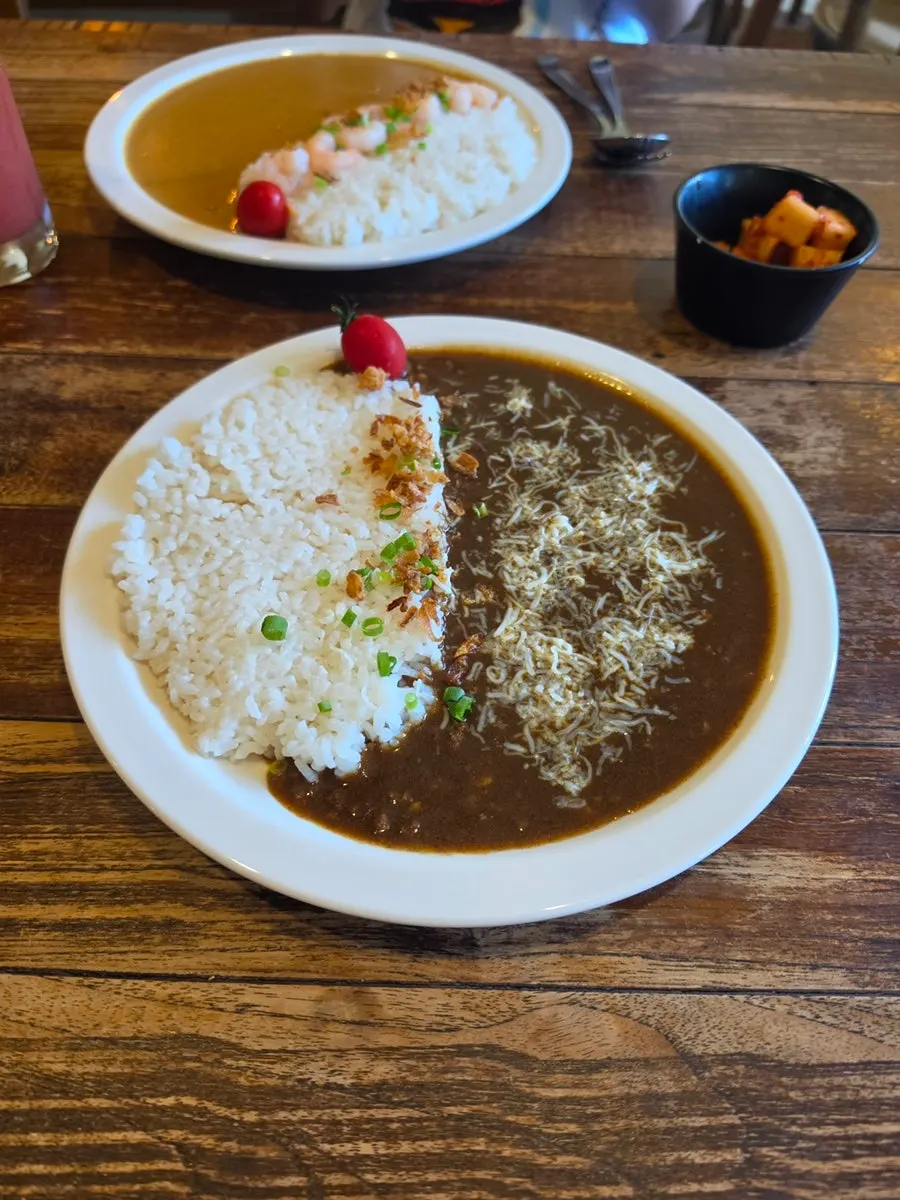 A meal with two kinds of curry