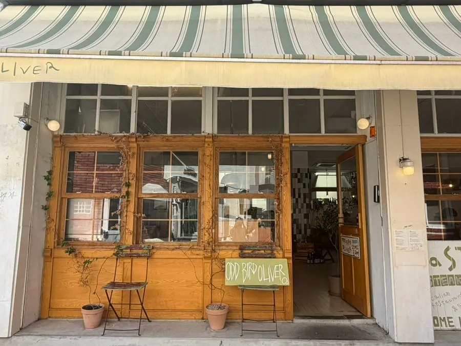 Opening view of Odd Bird Oliver with reservation info