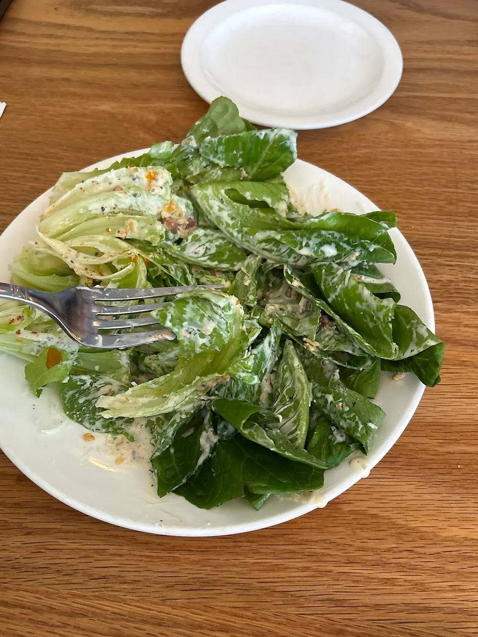 Romaine salad cut into pieces