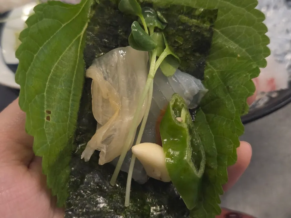 Aged sashimi served with perilla leaves and white kimchi