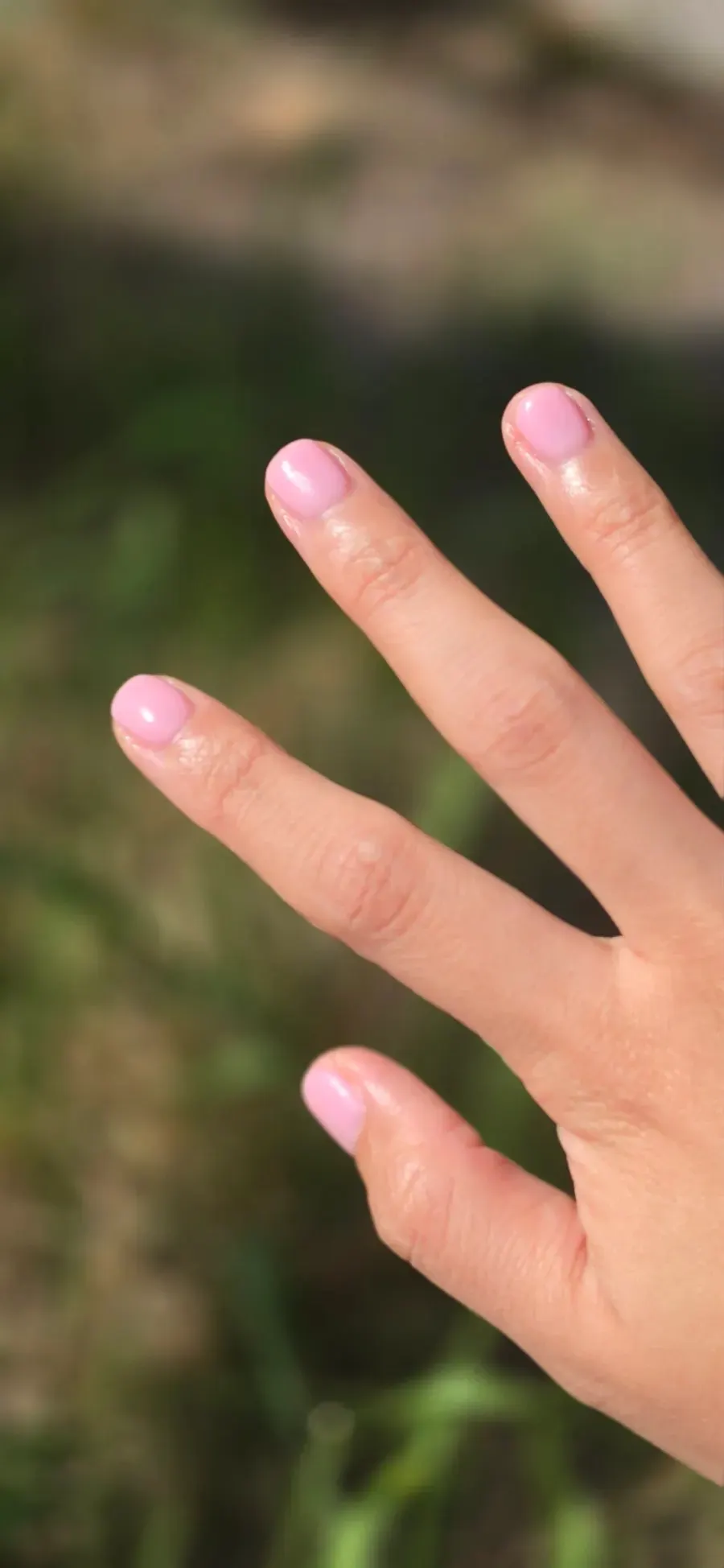 Round-square shaped pink nails under natural light