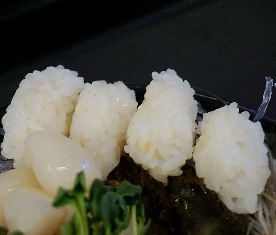 쫀득한 숙성 밀치회 한 점