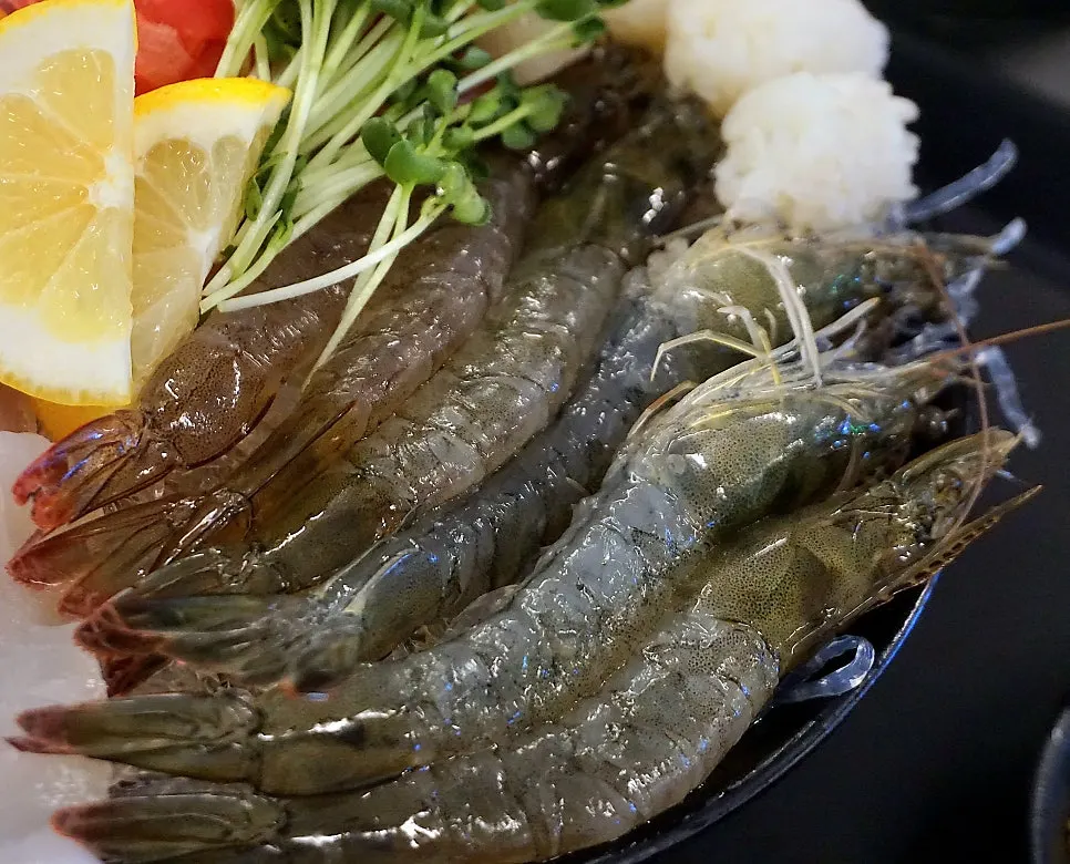 껍질 까서 나온 생새우회 6미