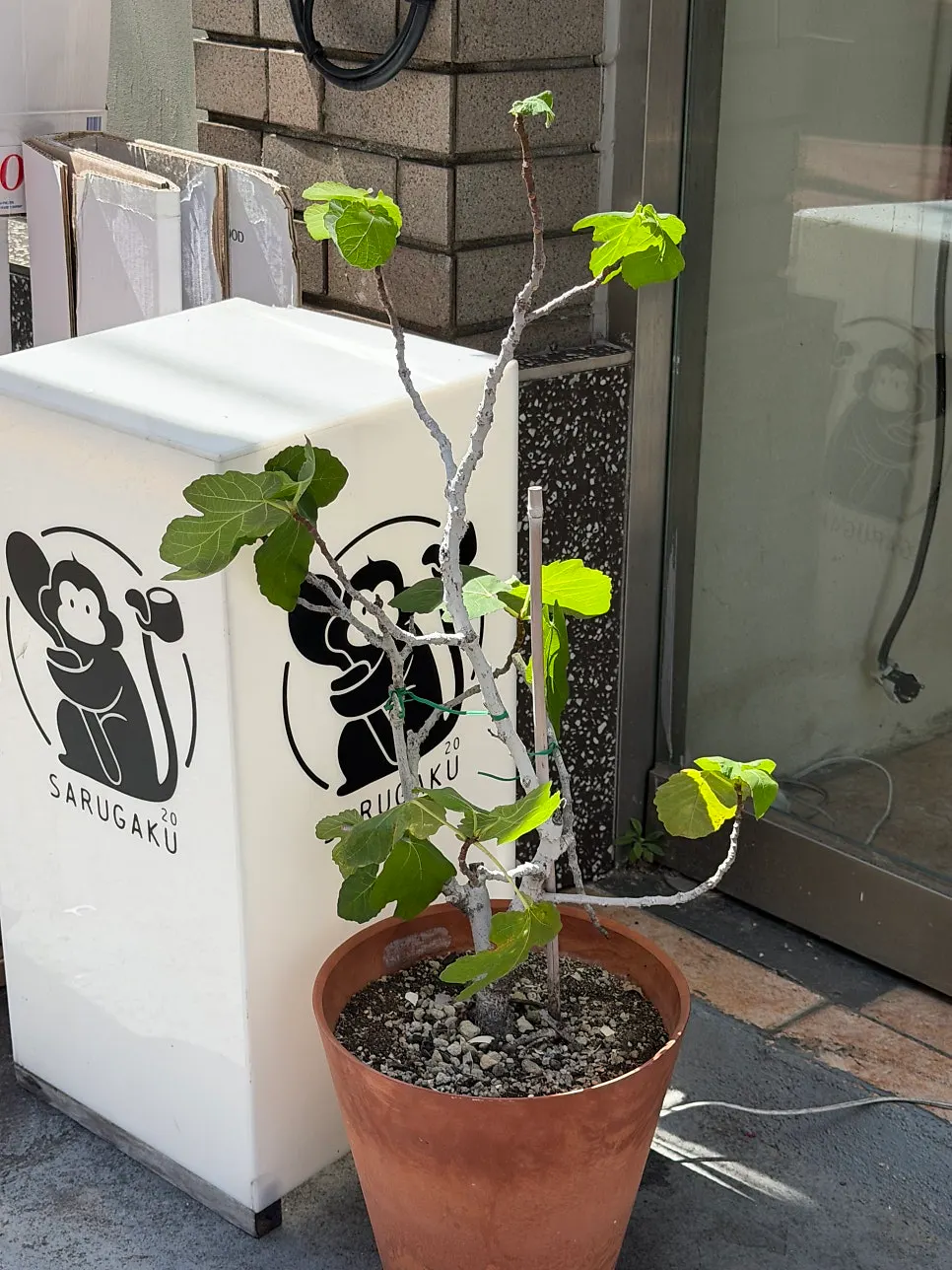 Visit to Sarugak20 in Jeonpo-dong