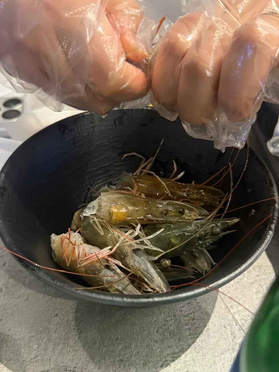Plate of live, still-moving in-season shrimp sashimi