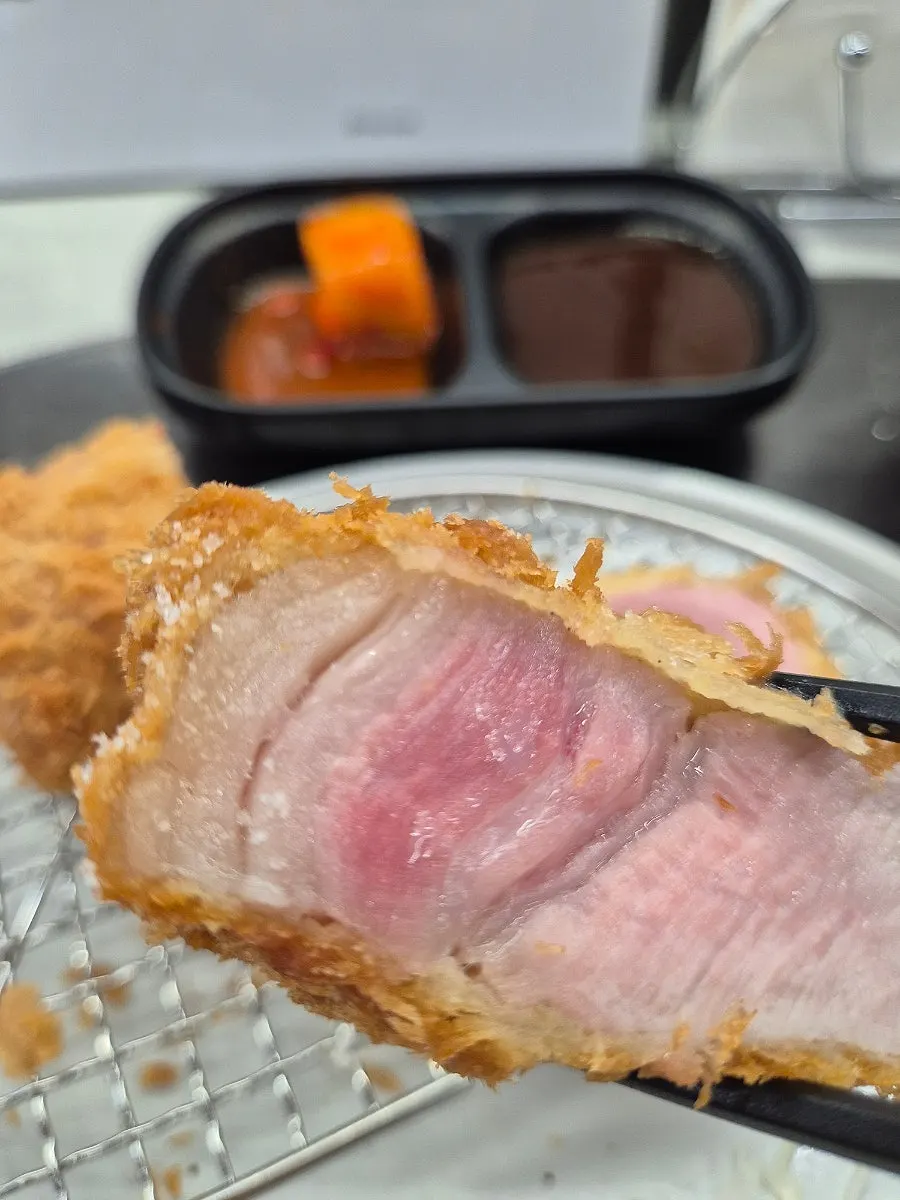 Katsu served plain