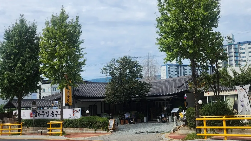 한옥을 개조한 증평손두부감나무집 외관