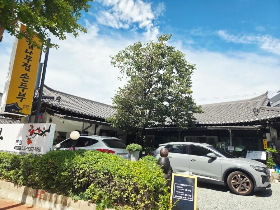 A stylish persimmon tree standing at the restaurant entrance