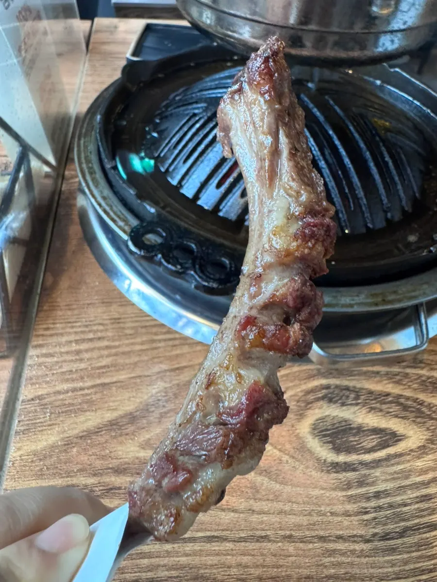 손잡이를 만들어 준 갈빗대