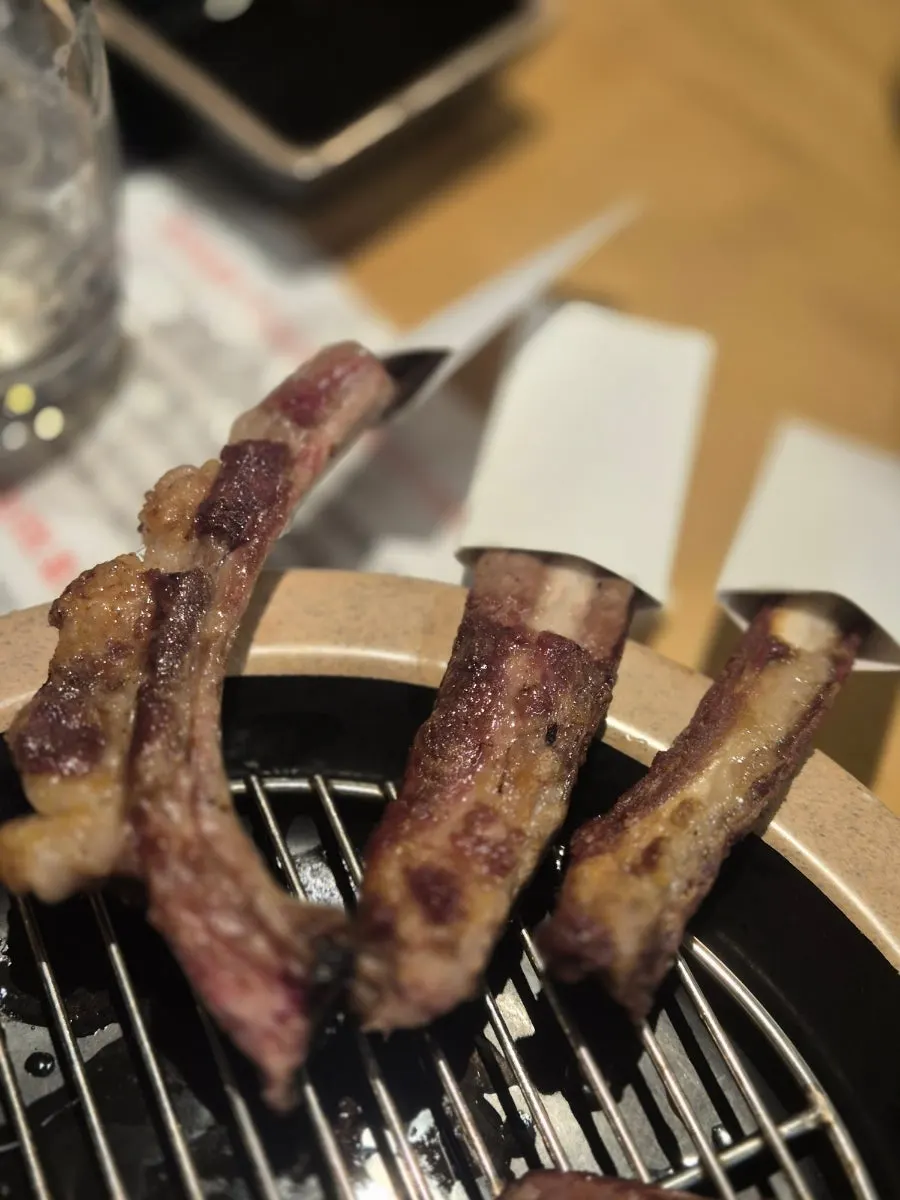 Eating bone-in lamb ribs by hand