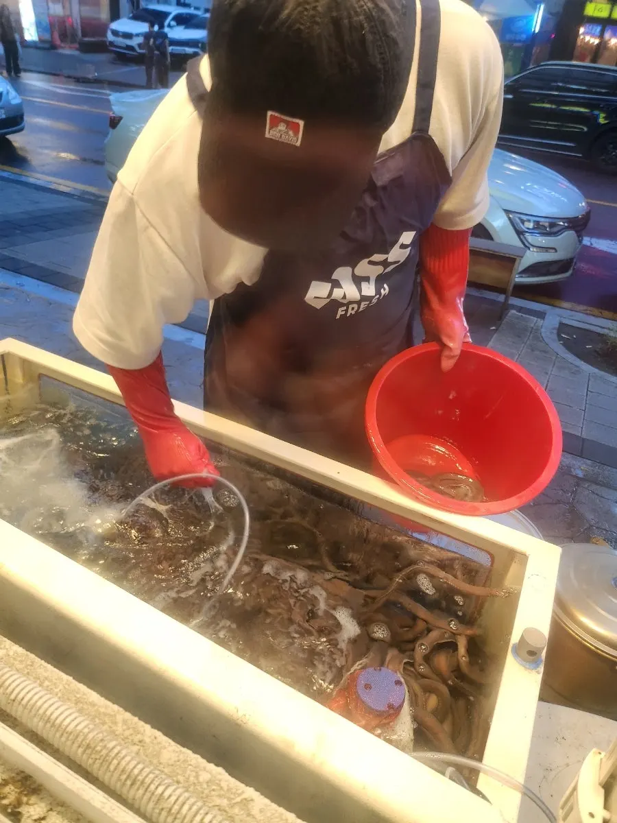 진빼이 매장 수조 모습