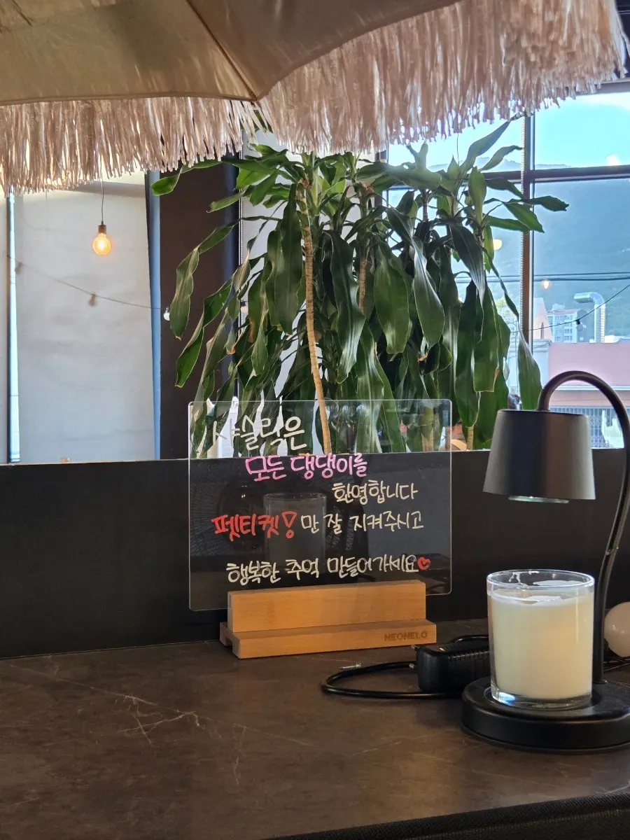 애견동반 가능 안내와 칸막이 좌석