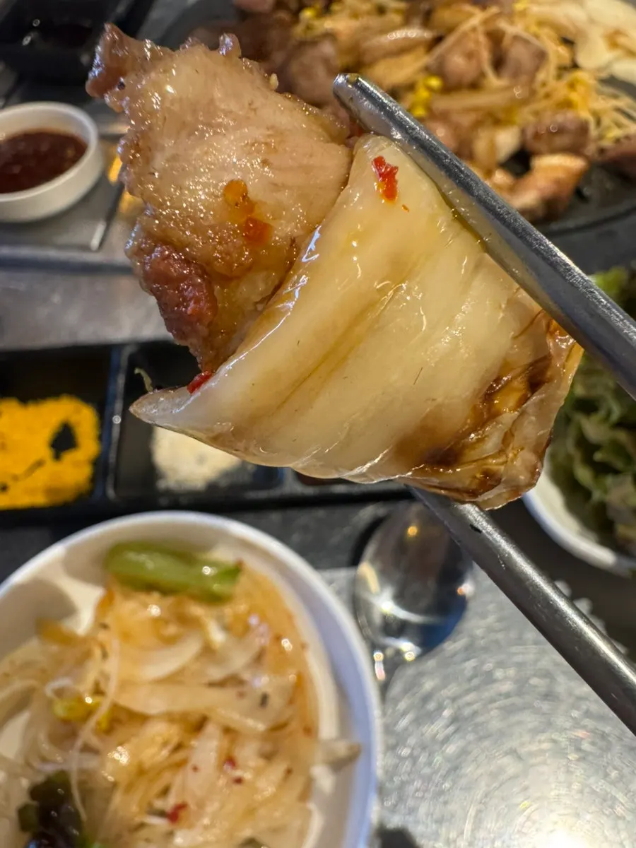 Piece of meat coated in breadcrumbs