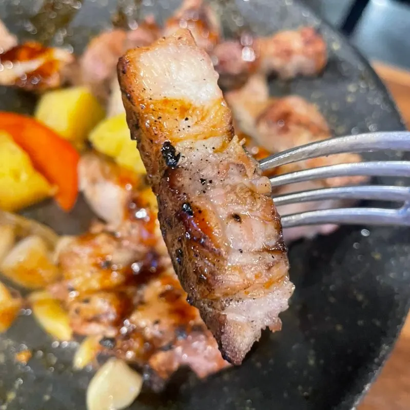 Shashlik meat plated on a dish