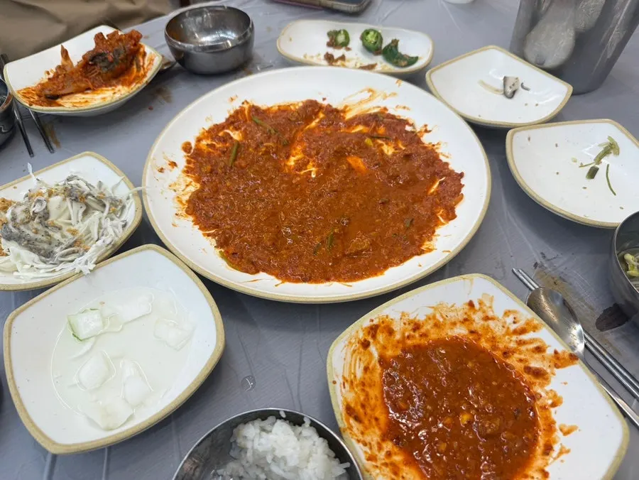 Empty plate after finishing the monkfish stew dinner