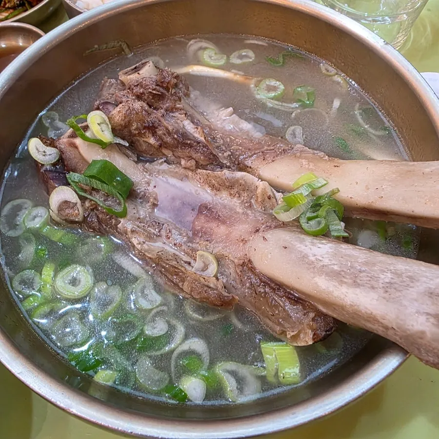 A bowl of the seasonal Dongilgaae galbitang