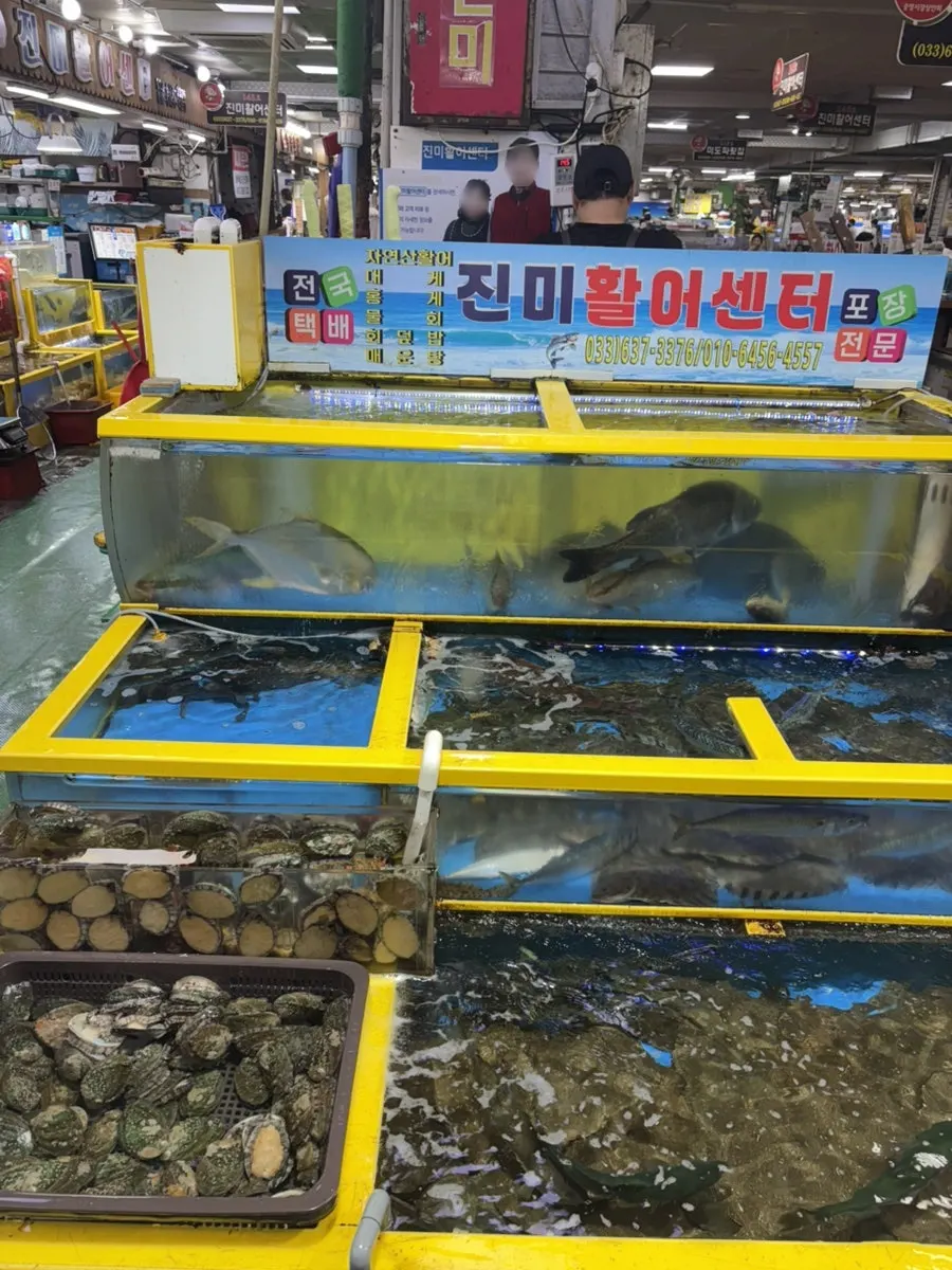 Live fish and seafood in the tanks at Jinmi Hwareo Center