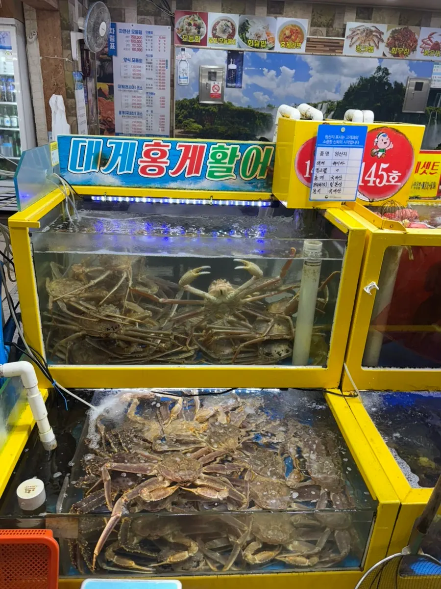 Snow crab and abalone in the tank