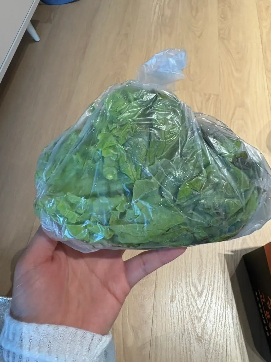 Complimentary sea squirt packed to go