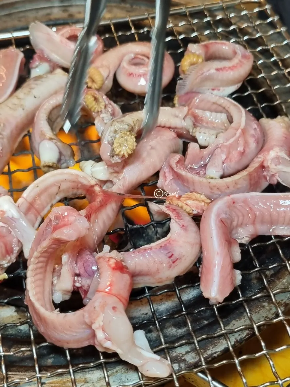 Three servings of grilled wild hagfish, salted and seasoned