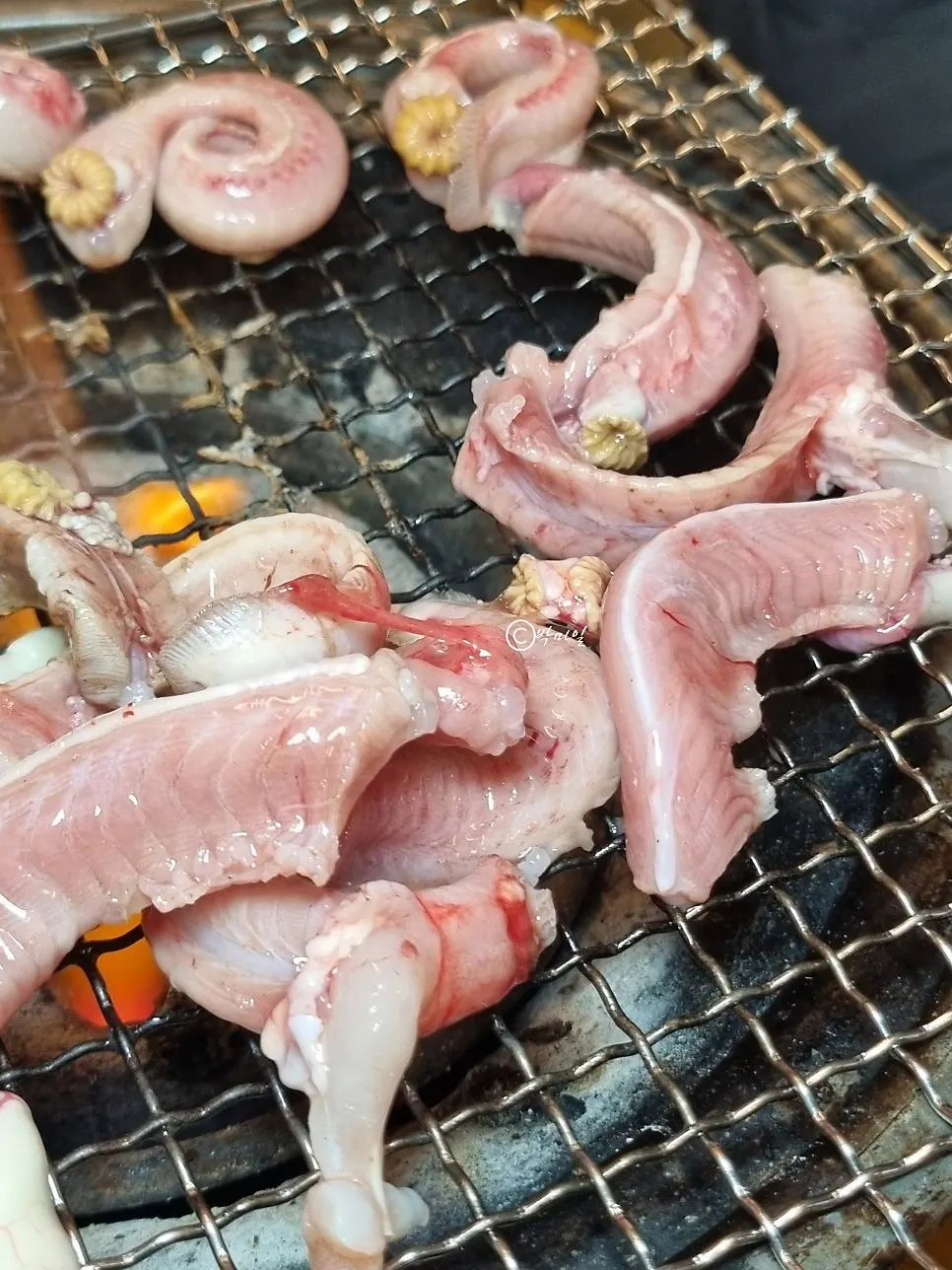 Wild hagfish on the grill