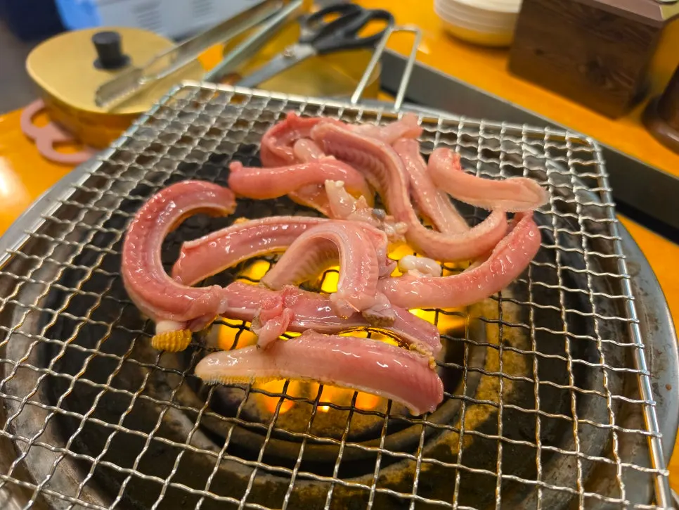 손질 전 살아있는 산꼼장어