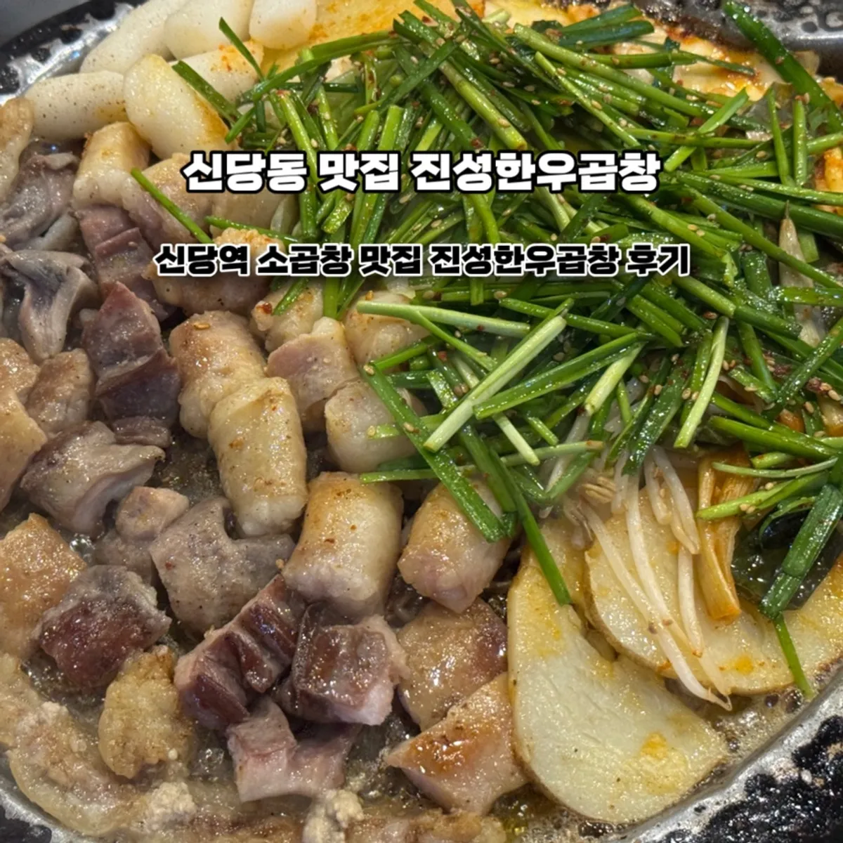 신당동 곱창맛집 진성한우곱창 대표 사진