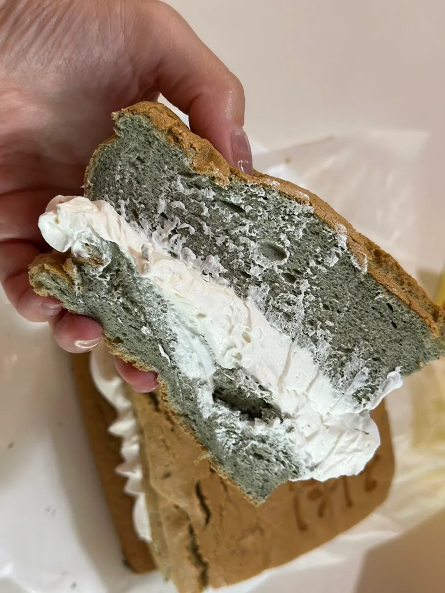 Cross-section of the cut mugwort castella