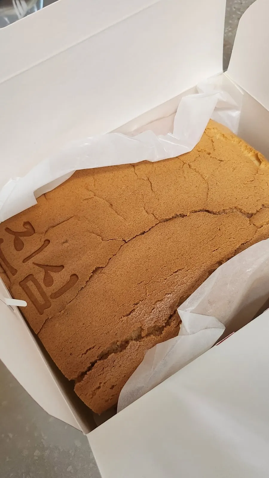 Cross-section of mugwort castella packed with whipped cream