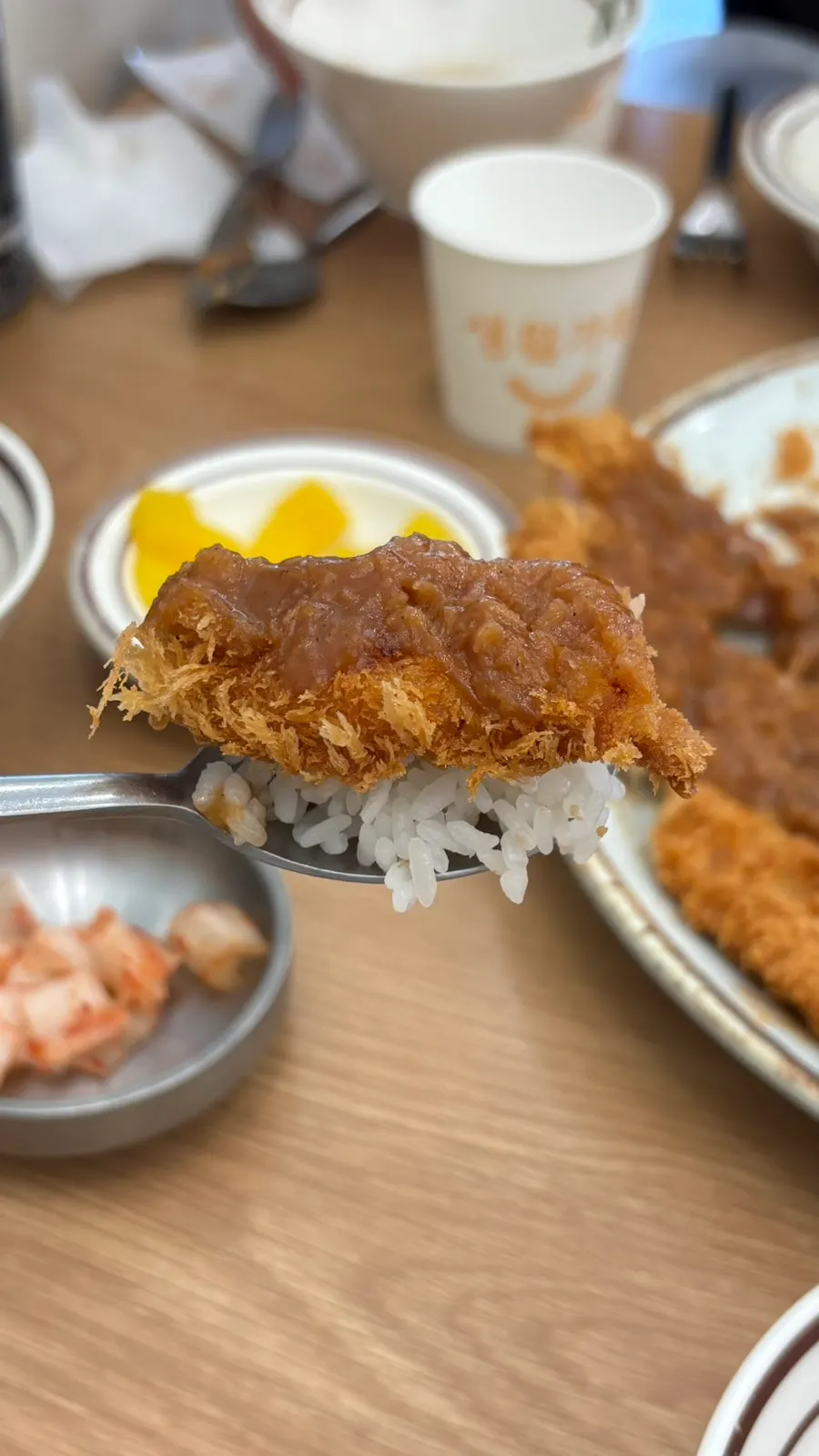 Donkatsu servido con ensalada y arroz
