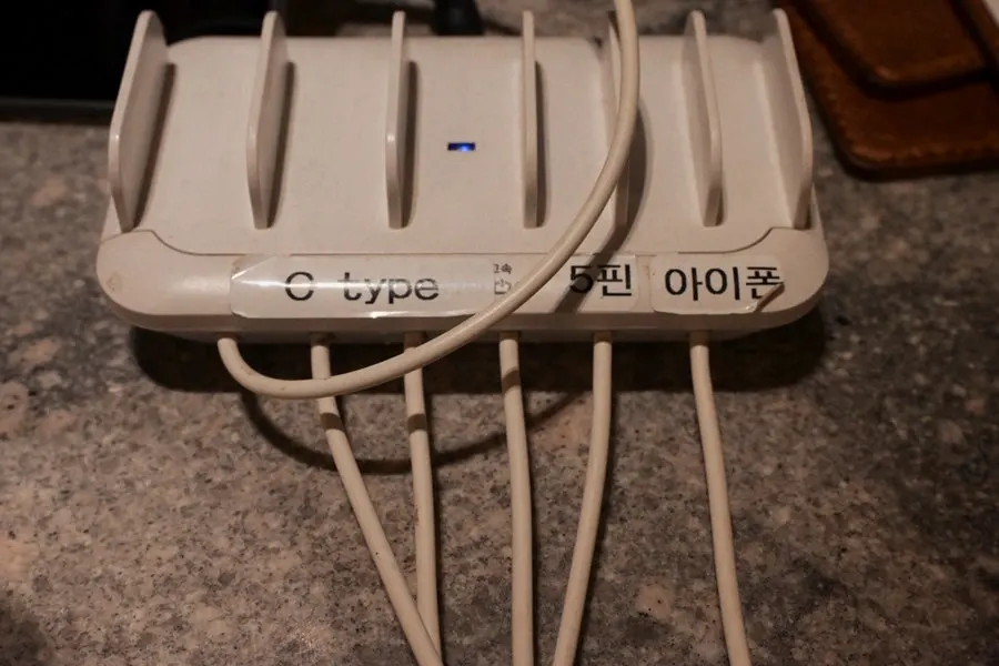 테이블 위 고춧가루·식초·겨자·간장 기본 양념