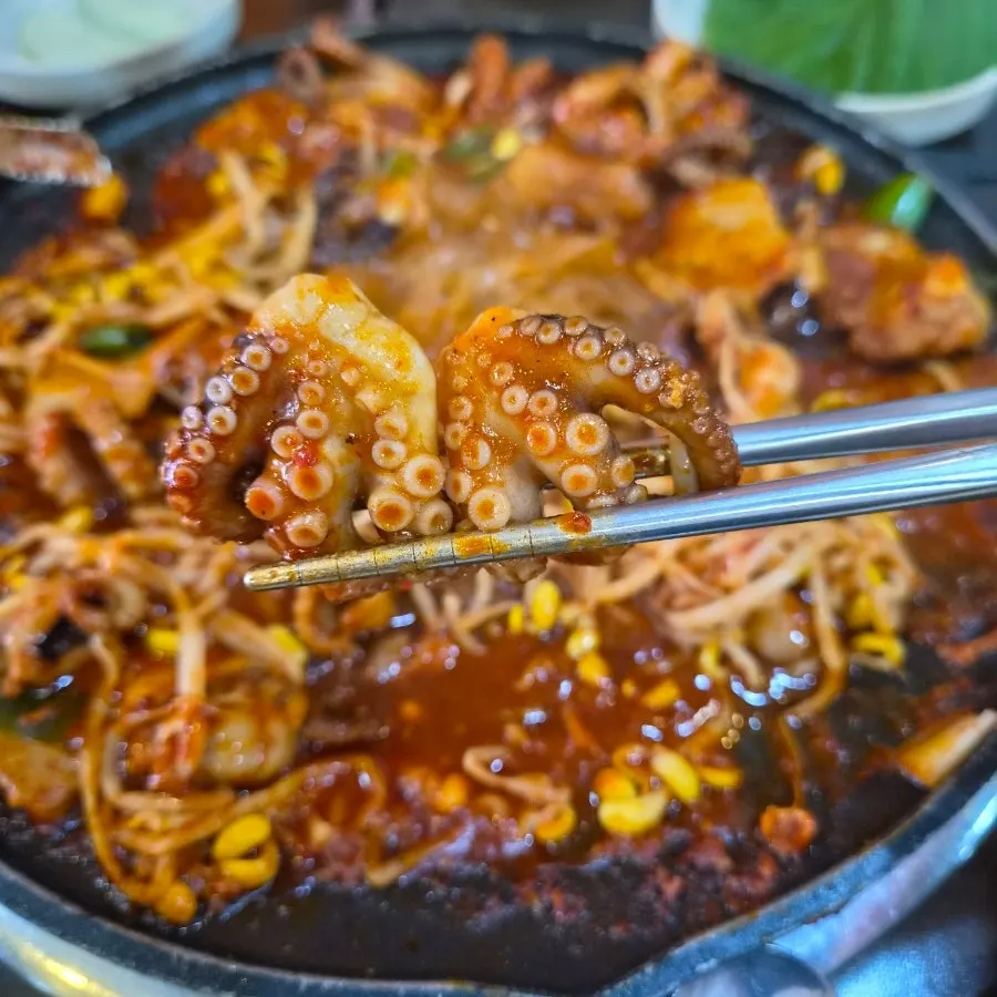 Close-up of chewy octopus piled on the griddle