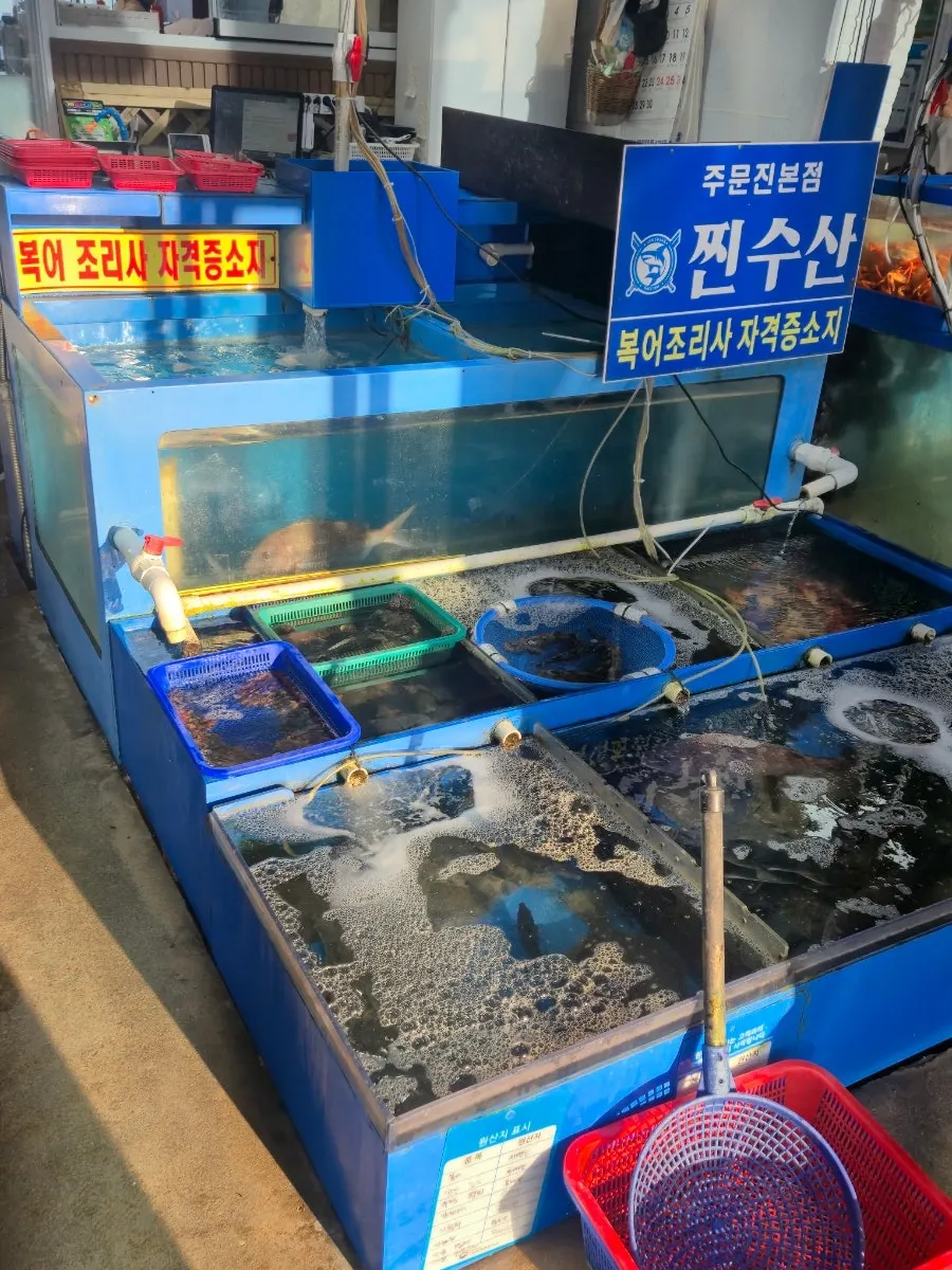 Seasonal seafood in the Jjin Susan fish tank