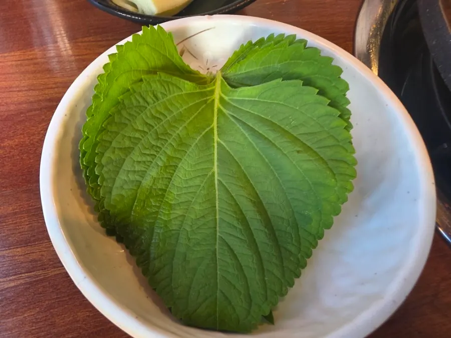 촉촉한 게살 계란찜 한 숟갈
