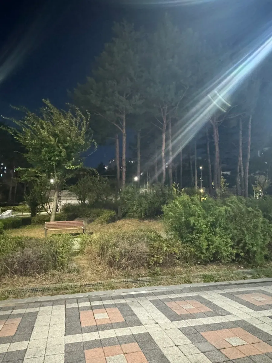 창가 좌석에서 보이는 매장 앞 공원 풍경