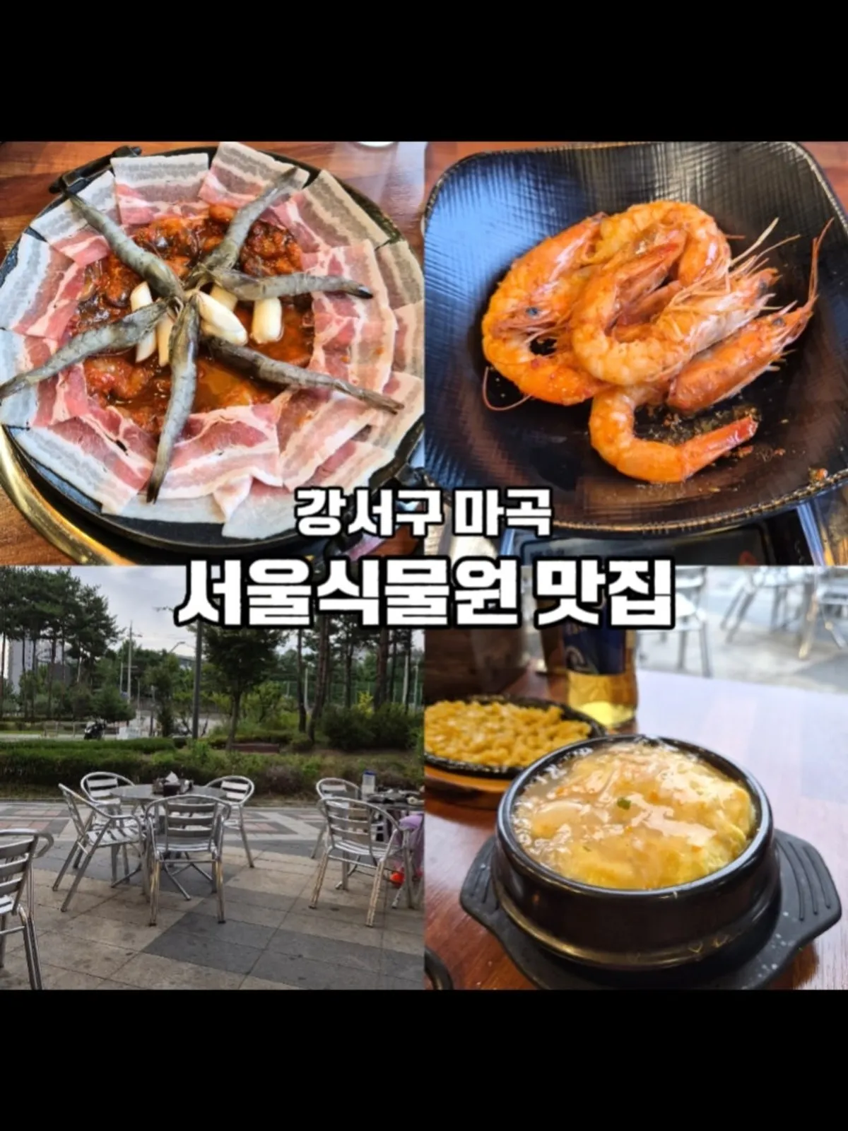 쭈박사 마곡점 철판 쭈삼새 상차림