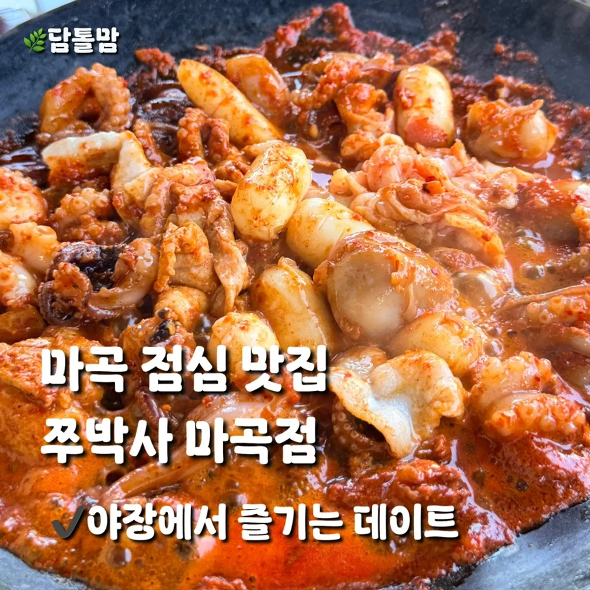 Main spread of stir-fried octopus at Jju Baksa Magok Branch