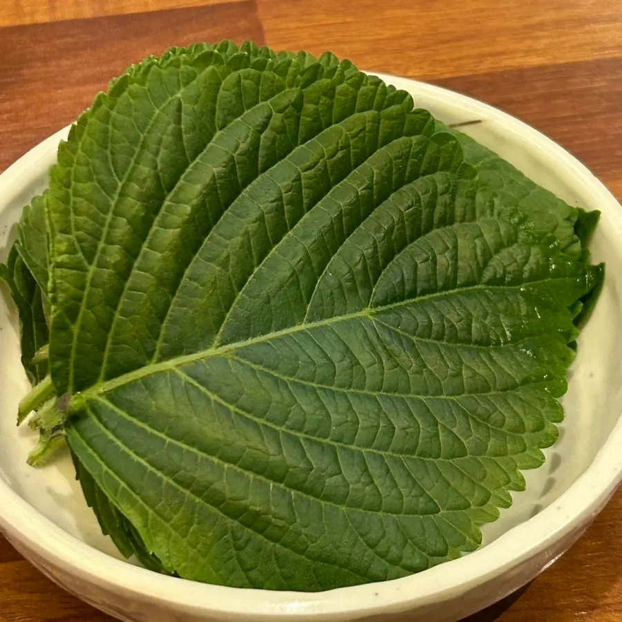 쭈꾸미 쌈에 곁들이는 깻잎과 콩나물