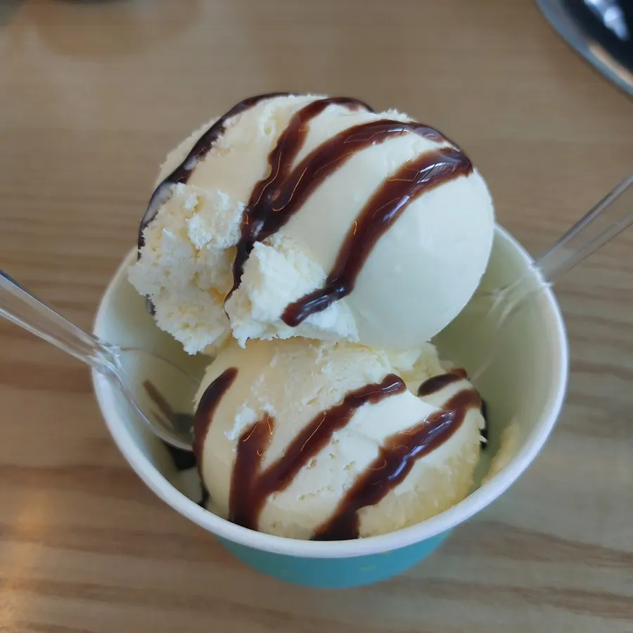 Two scoops of vanilla ice cream drizzled with chocolate syrup