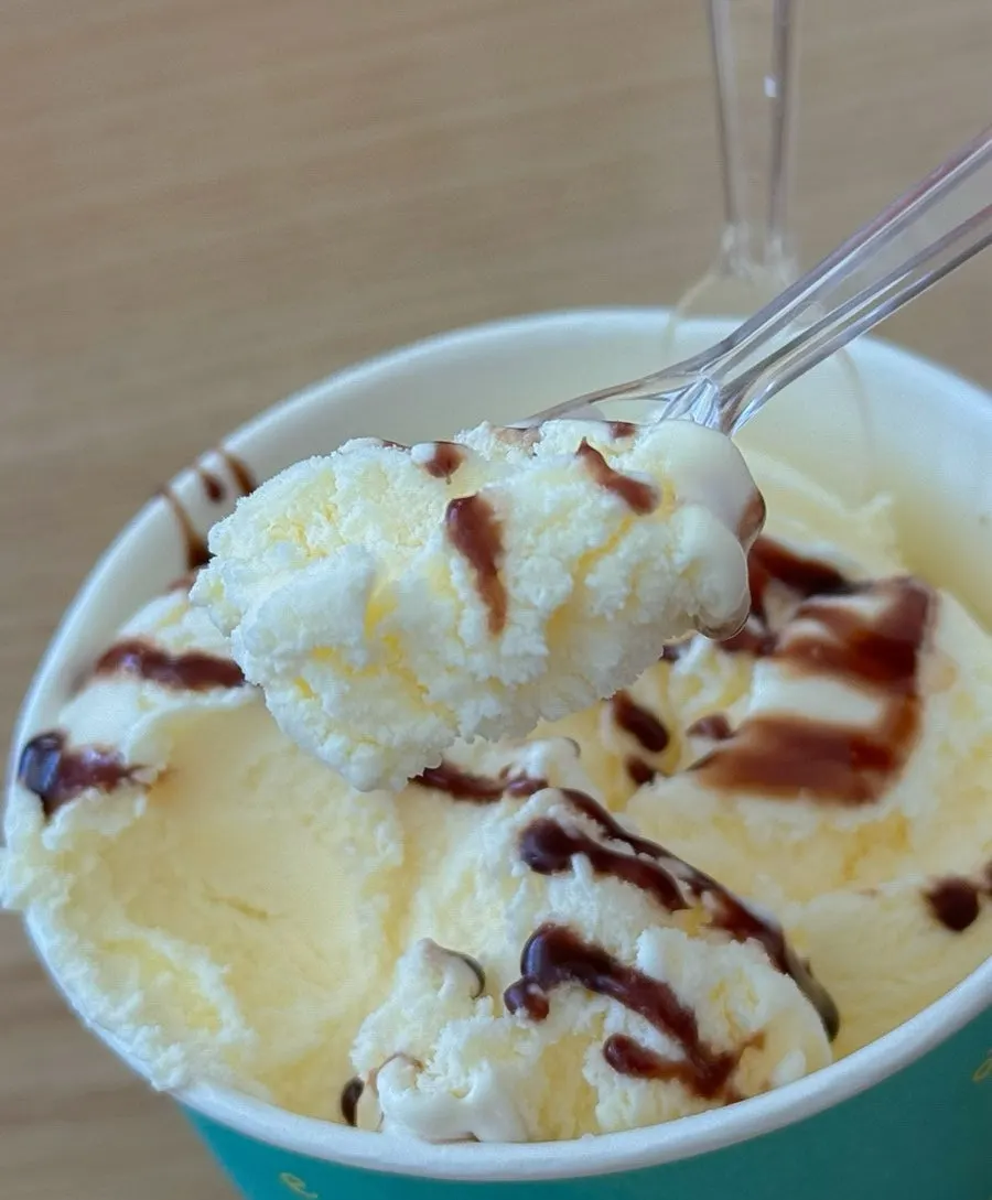 Vanilla ice cream topped with chocolate syrup
